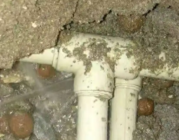 西秀测漏水多少钱