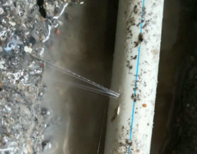 西秀测漏水哪家好