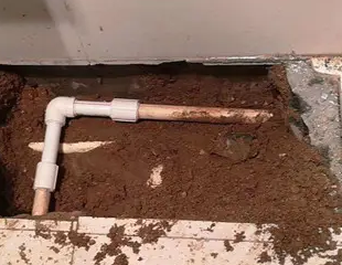 西秀测漏水哪家好