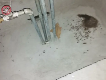 西秀卫生间测漏水价格明细