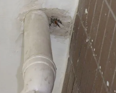 西秀漏水检测哪家好